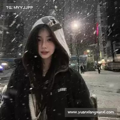 费艾贞